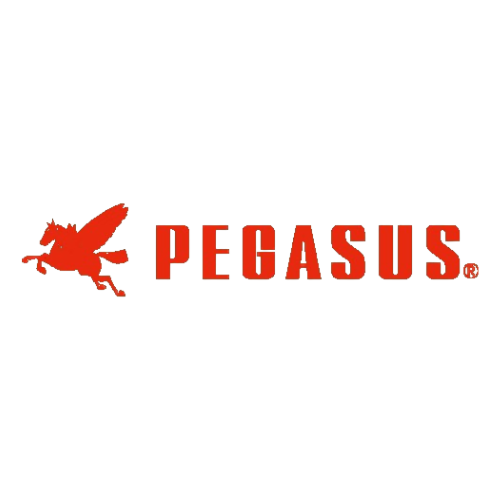 Pegasus